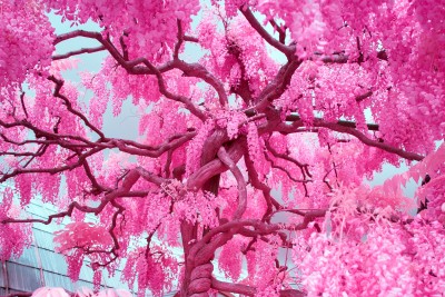 Kaaitheater: Season 19-20